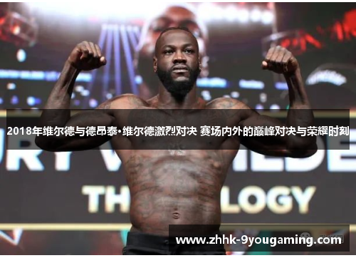 2018年维尔德与德昂泰·维尔德激烈对决 赛场内外的巅峰对决与荣耀时刻
