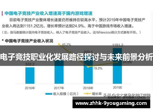 电子竞技职业化发展路径探讨与未来前景分析 电子竞技职业化发展路径探讨与未来前景分析